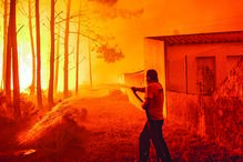 terrenos, florestas, proprietários, câmaras, limpeza