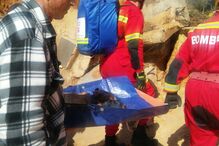 cão, animal, bombeiros, Bombeiros Voluntários de Albufeira, praia, Maria Luísa, Algarve