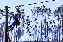 chuva, matas, limpeza, florestas, chamas, fogo, incêndio