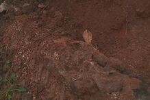 2018-03-08_18_05.36 0136C2E0.jpg