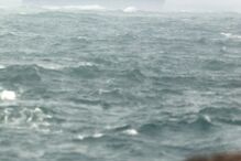 Tripulantes de navio encalhado no Tejo foram retirados de helicóptero