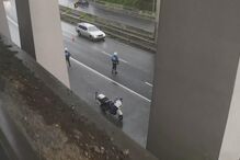 faixa, estrada, arvore