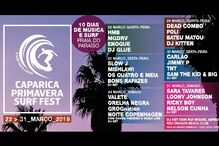 2018-03-09_14_29.46 PIC11_V2.jpg