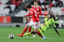 Benfica e Desportivo das Aves jogaram este sábado no Estádio da Luz