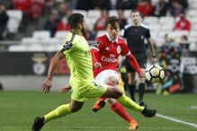Benfica e Desportivo das Aves jogaram este sábado no Estádio da Luz	