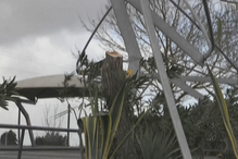 Vento derruba cobertura no Lidl de Beja