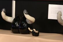 Portugueses esgotaram aulas de sexo no Eros Porto