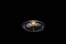 Glorious - O bombom mais caro do mundo