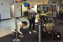 Animal morreu durante a viagem