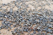 2018-03-14_16_20.47 IMG-20180313-WA0001.jpg