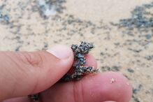 2018-03-14_16_20.48 IMG-20180313-WA0007.jpg