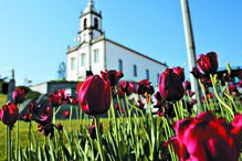 são joão da madeira, Museu do Calçado, Circuito do Turismo Industrial, Calçado