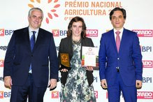 Prémio empresas, vencedor: Montiqueijo