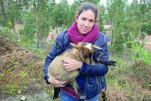 Ana Fontes, engenheira eletrotécnica, com a Fogaça ao colo