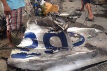 Queda de avião nas Filipinas