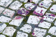 Marcas de sangue visíveis no chão