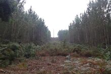 2018-03-21_20_12.27 20140812_151221.jpg