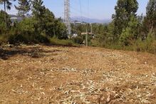 2018-03-21_20_12.29 20150723_164936.jpg