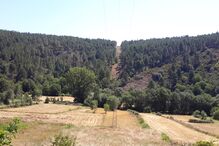 2018-03-21_20_12.37 P_Tresminas_20170720_120039.jpg