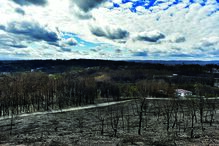 Todas  as freguesias de Tondela  foram afetadas pelo incêndio  de 15 de outubro de 2017 