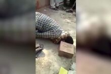 Píton, Pitão, cobra, Índia