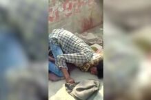 Píton, Pitão, cobra, Índia