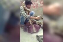 Píton, Pitão, cobra, Índia