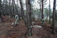 Costa acompanhou acção de limpeza florestal em Portalegre
