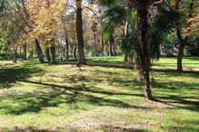 Parque madrileno El Retiro