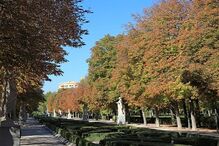 Parque madrileno El Retiro
