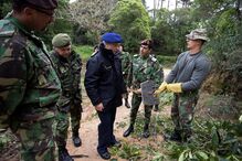 Maria Arminda Vicente, idosa, mortes, coimbra, tragédia, outubro, fogo, incêndios, vítima mortal