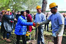 Maria Arminda Vicente, idosa, mortes, coimbra, tragédia, outubro, fogo, incêndios, vítima mortal