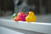 Patos amarelos de borracha