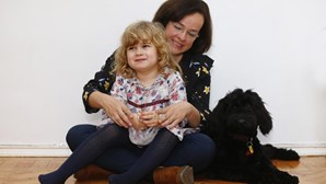 Cães de assistência fazem ligação de crianças com autismo ao mundo
