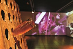 O museu do vinho Bairrada exibe uma exposição permanente sobre os percursos do vinho