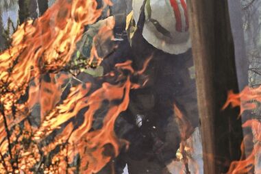 Intrusões terão sido feitas por pessoas que já tinham palavras-passe