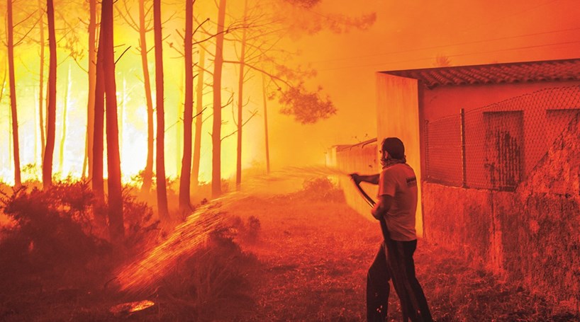 Resultado de imagem para IncÃªndios: Homem confessou ter ateado fogo no pior dia do ano em Oliveira de AzemÃ©is