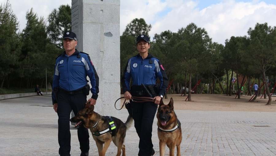Cães-polícia
