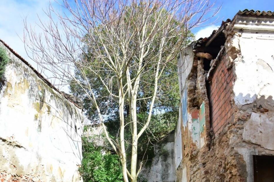 Derrocada de um prédio em Santarém	