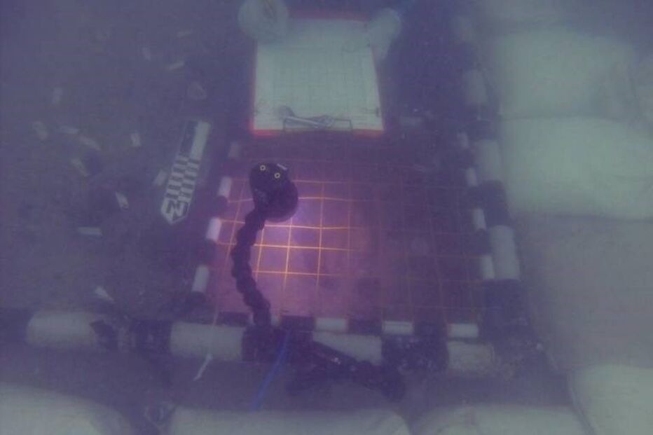 Descoberto na Florida um cemitério com 7.000 anos sob a água do Golfo do México