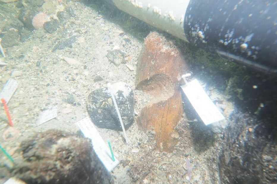 Descoberto na Florida um cemitério com 7.000 anos sob a água do Golfo do México