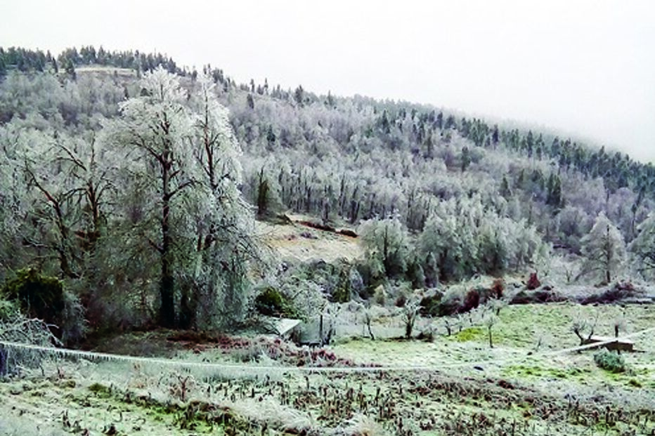 Neve no vale da Campeã