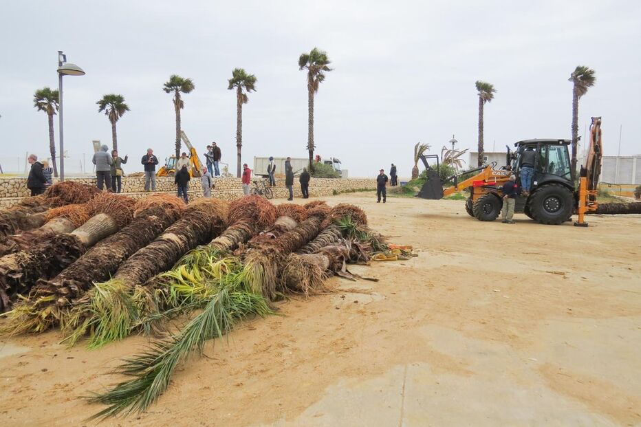 Mau tempo fez estragos avultados em Portimão