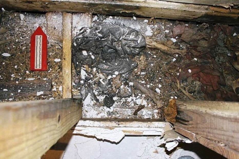 Mary Stewart Cerruti, ossadas, ossos