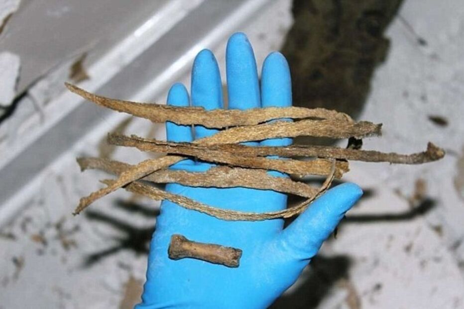 Mary Stewart Cerruti, ossadas, ossos