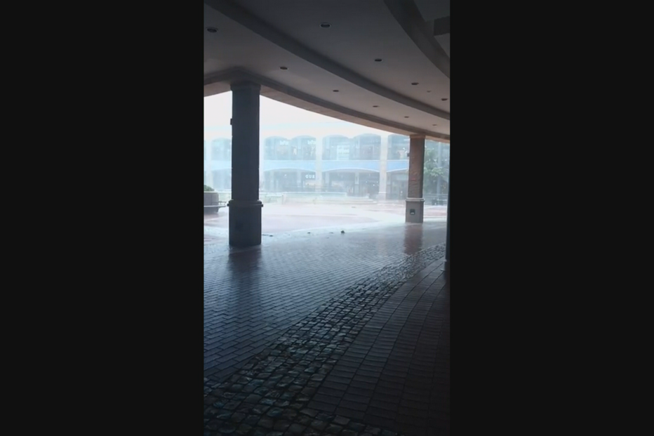 Tempestade parte vidros e arranca árvores no Fórum Algarve