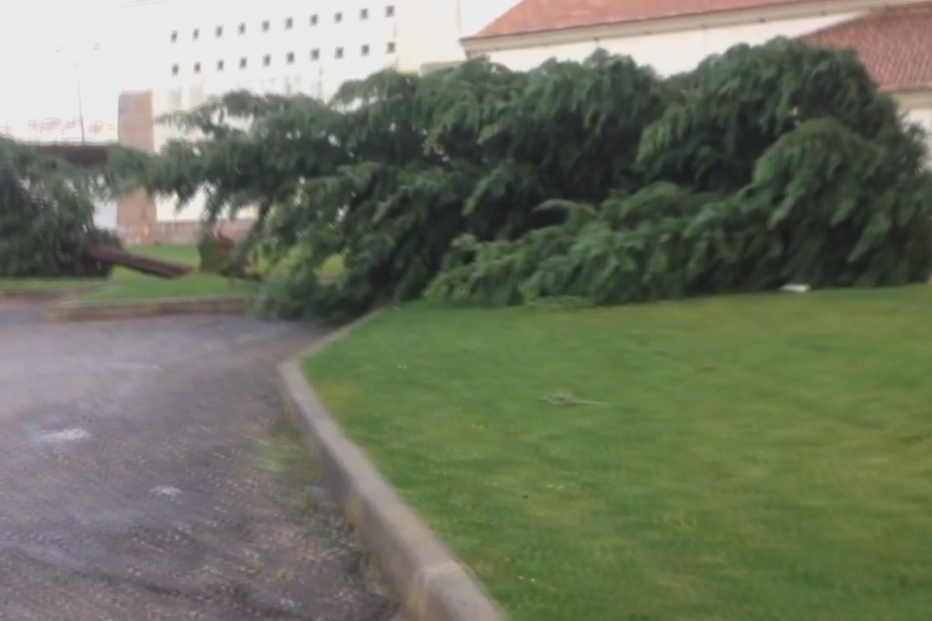 Tornado parte vidros e causa pânico em Faro e Olhão