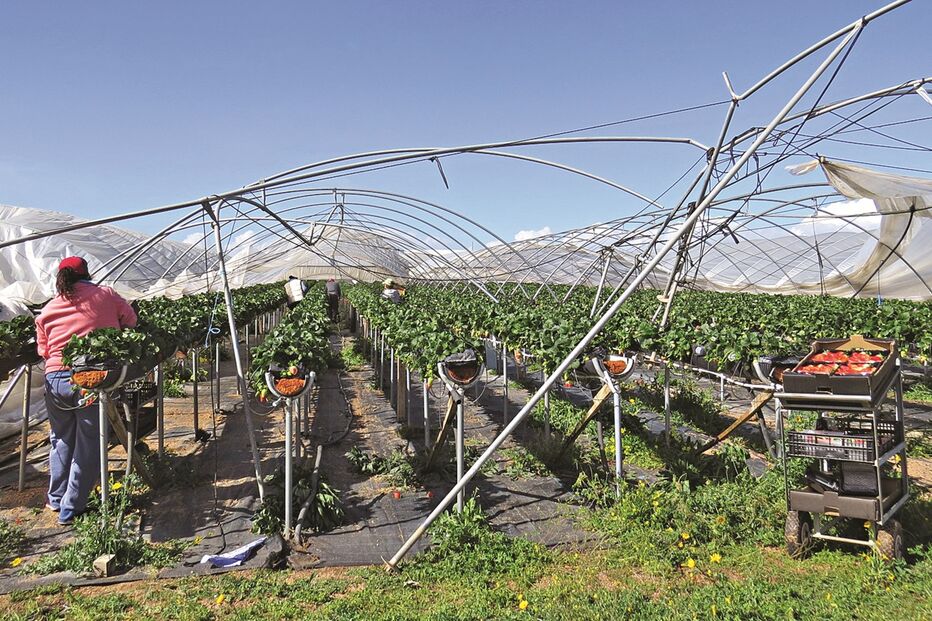 2018-03-06_01_50.39 tornado1.jpg