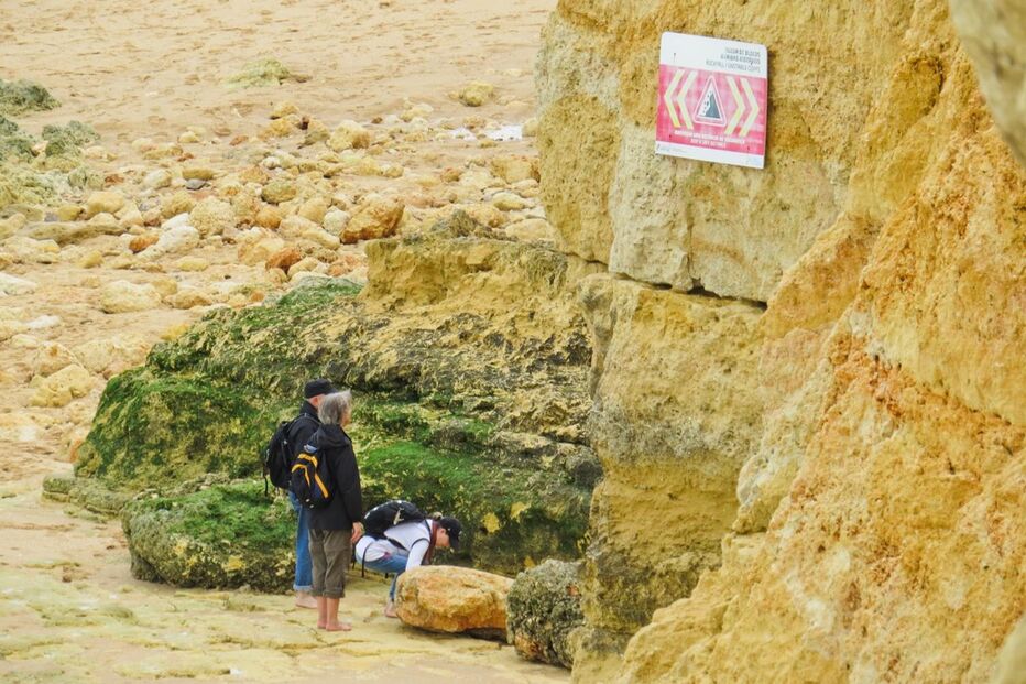 Uma parte da arriba entre as praias do Vau e dos Careanos, no concelho de Portimão, desmoronou ontem 