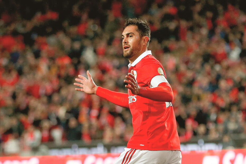 Jardel, de 31 anos, está no Benfica desde a temporada 2010/2011. Antes jogou no Estoril e no Olhanense